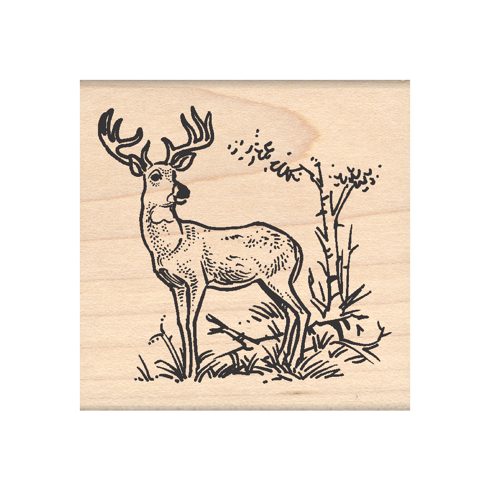 Deer Rubber Stamp 2.25" x 2.25" block