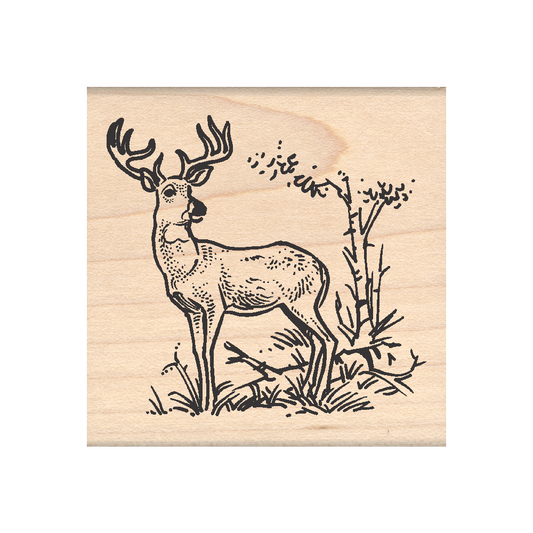 Deer Rubber Stamp 2.25" x 2.25" block