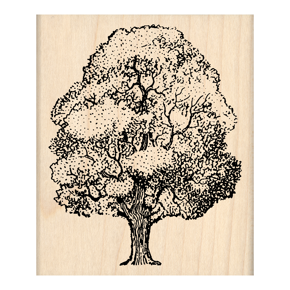 rubber tree stamp Oak Tree Rubber Stamp 2.5" x 3" block