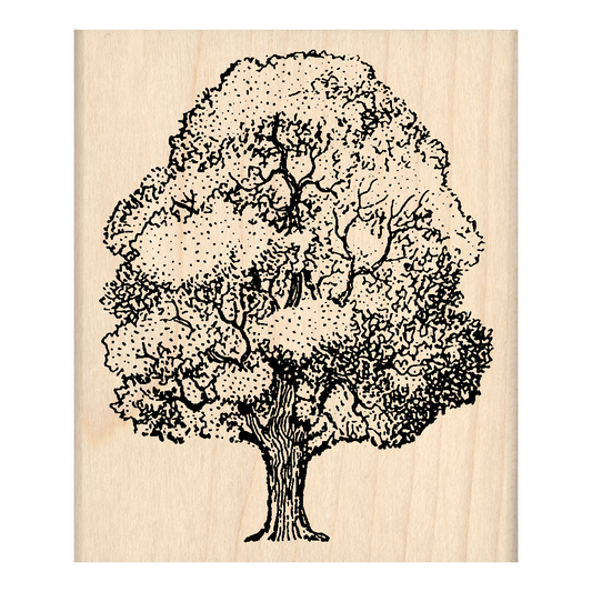 Oak Tree Rubber Stamp 2.5" x 3" block