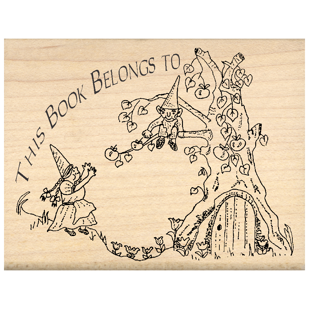 This Book Belongs to: Bookplate Rubber Stamp 2.5" x 3.25" block