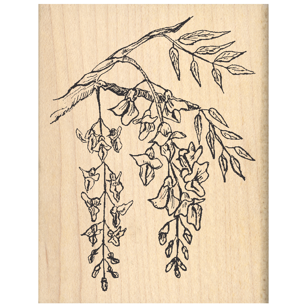 Wisteria Rubber Stamp 2.5" x 3.25" block