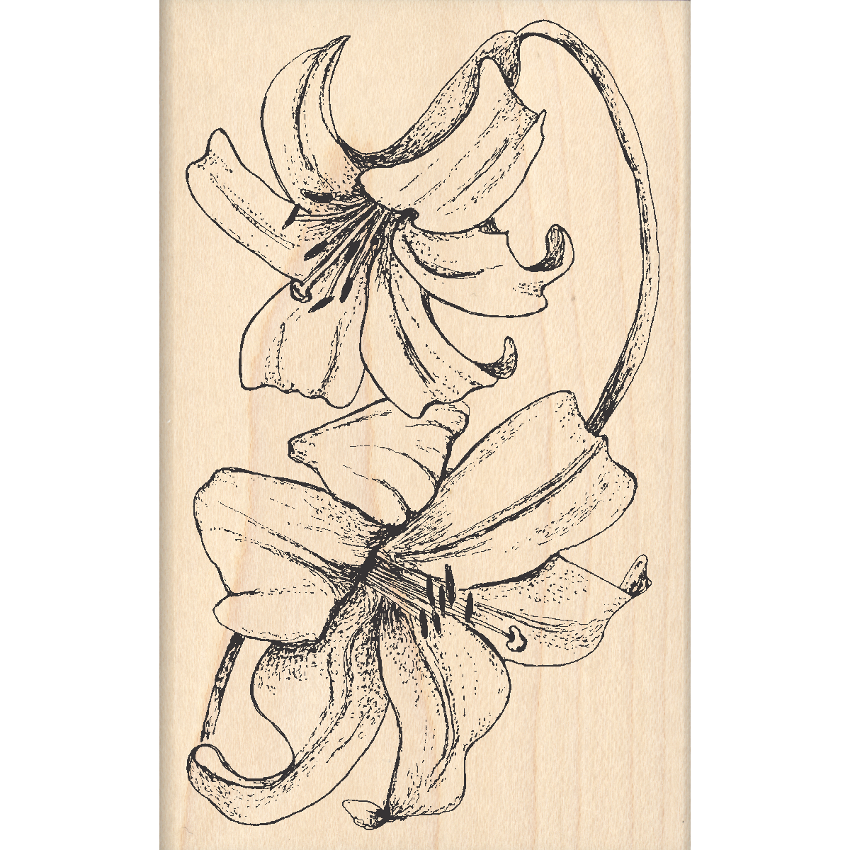 Lilies Rubber Stamp 2.5" x 4" block