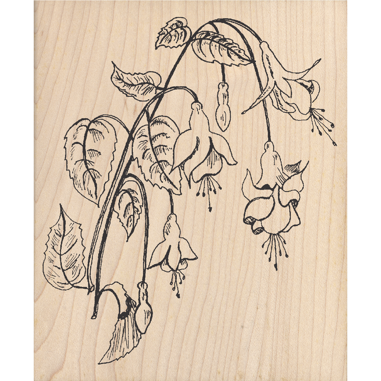 Fuchsia Rubber Stamp 3.5" x 4.25" block