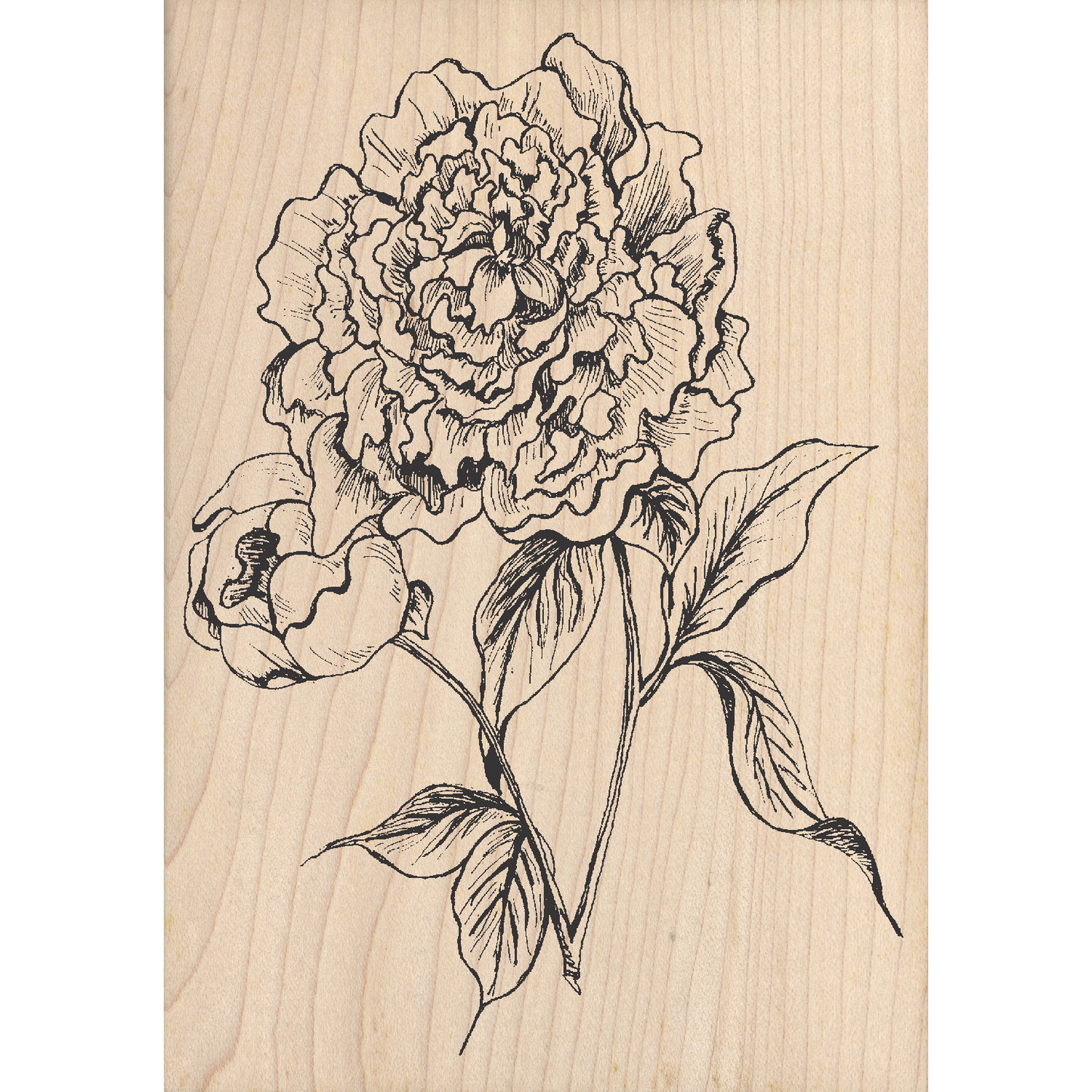 Peony Rubber Stamp 3.5" x 5" block