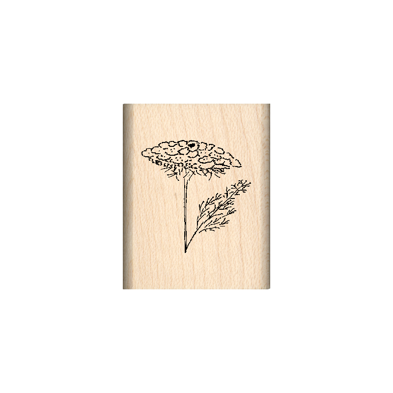 Queen Anne's Lace Rubber Stamp 1" x 1.25" block