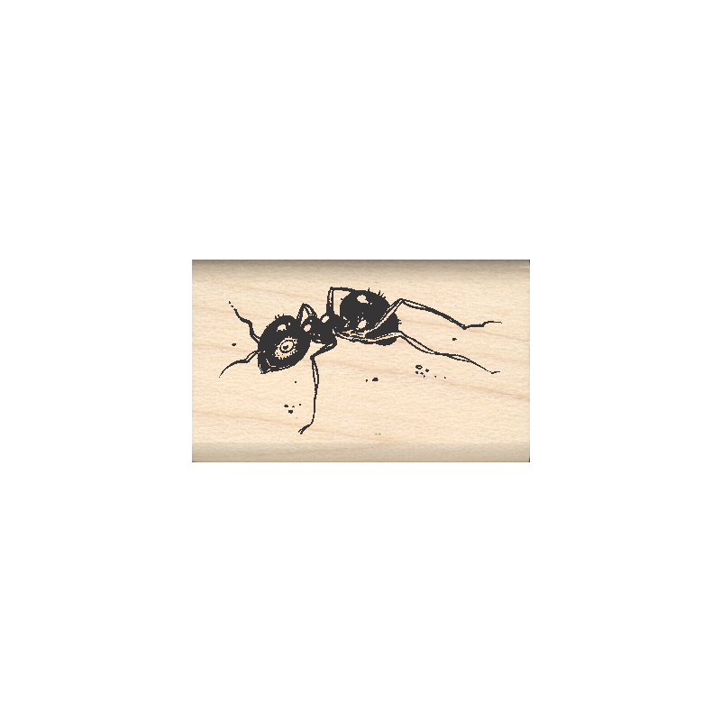 Ant Rubber Stamp .75" x 1.25" block
