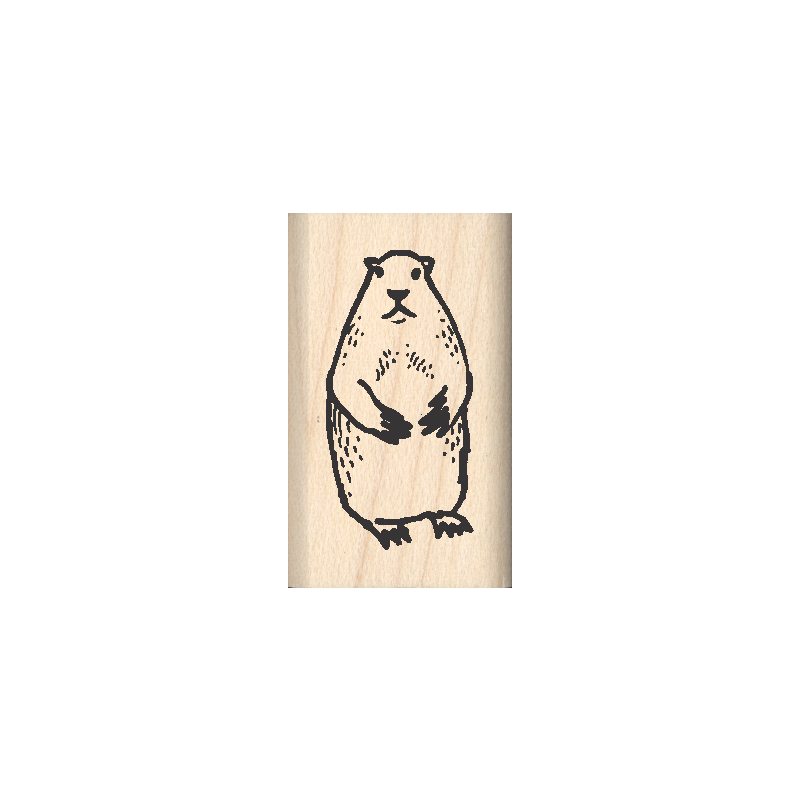 Ground Hog Rubber Stamp .75" x 1.25" block