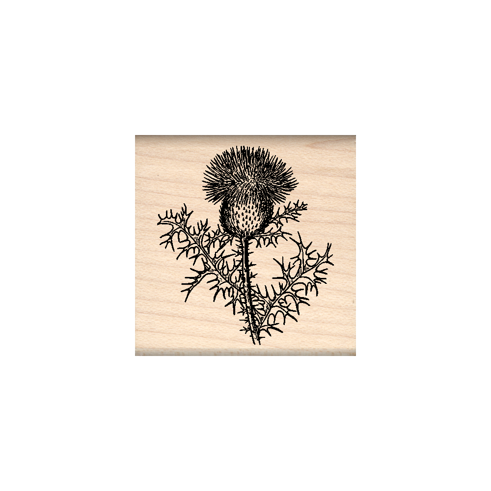 Thistle Rubber Stamp 1.5" x 1.5" block