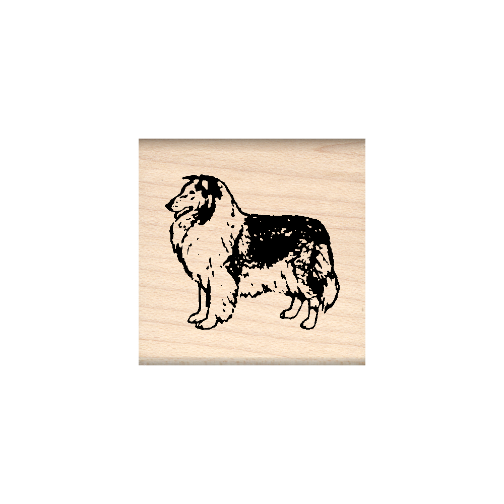 Collie Rubber Stamp 1.5" x 1.5" block