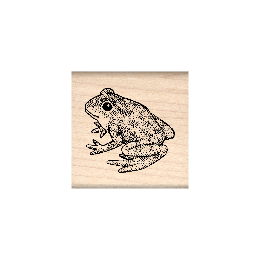 Frog Rubber Stamp 1.5" x 1.5" block