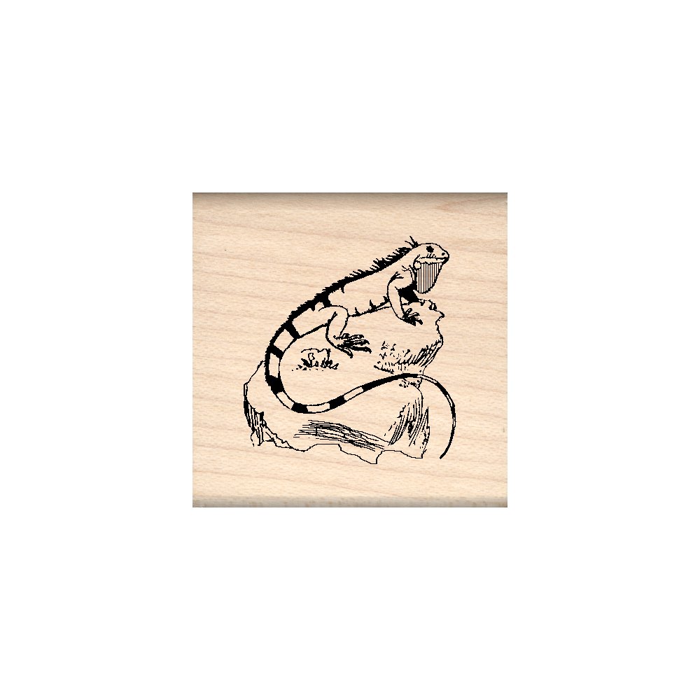 Iguana Rubber Stamp 1.5" x 1.5" block