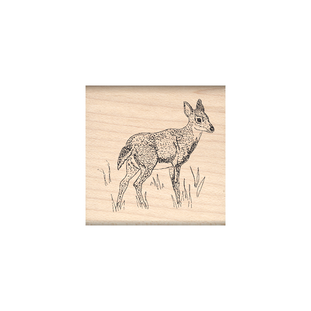 Doe Rubber Stamp 1.5" x 1.5" block