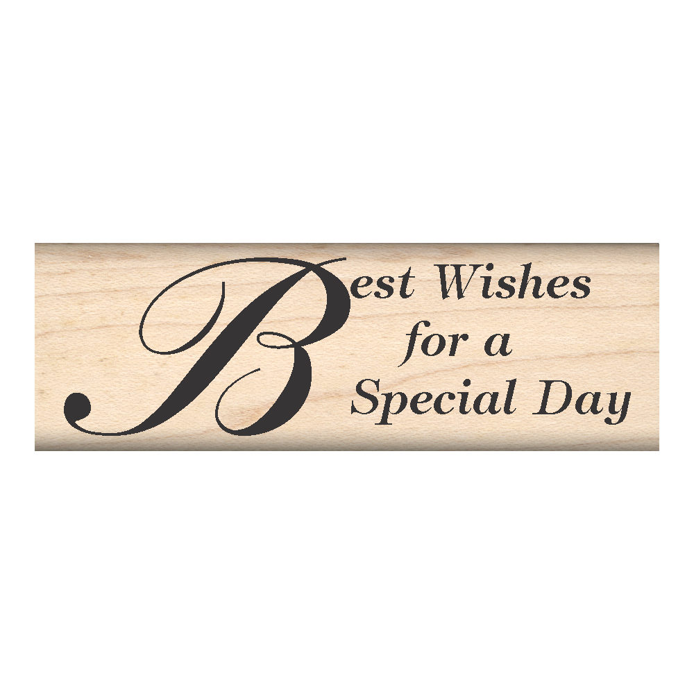 Best Wishes for a Special Day Rubber Stamp 1" x 3" block