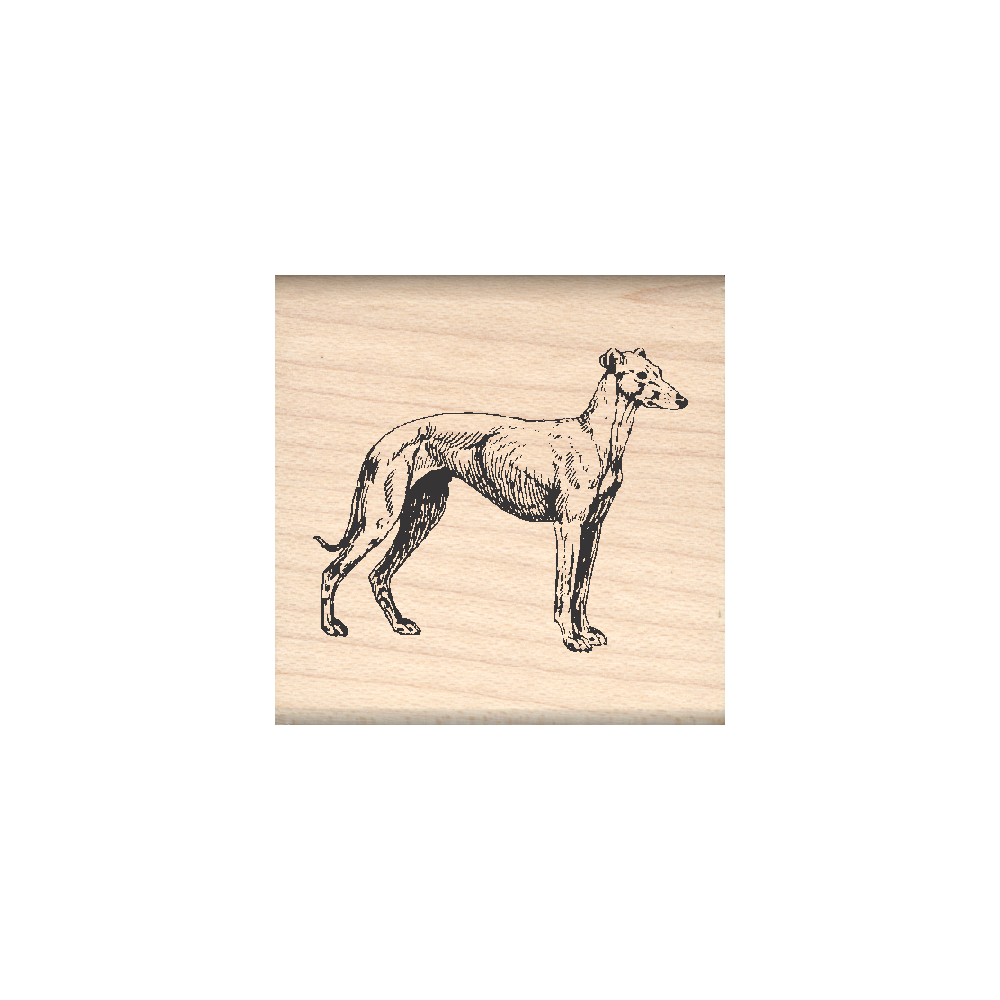 Greyhound Rubber Stamp 1.5" x 1.5" block