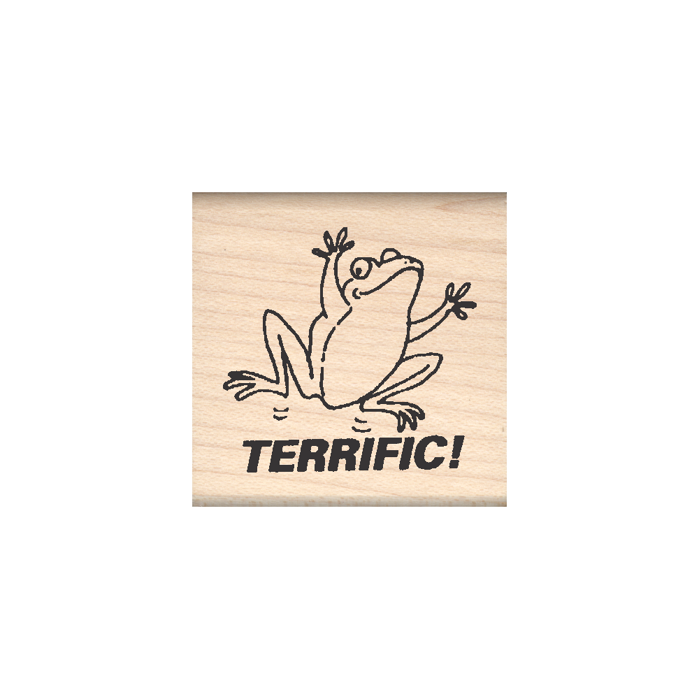 Terrific Frog Teacher Rubber Stamp 1.5" x 1.5" block