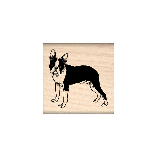 Boston Terrier Rubber Stamp 1.5" x 1.5" block