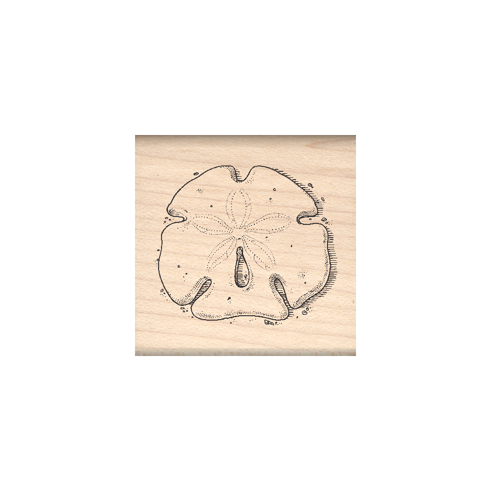 Sand Dollar Rubber Stamp 1.5" x 1.5" block