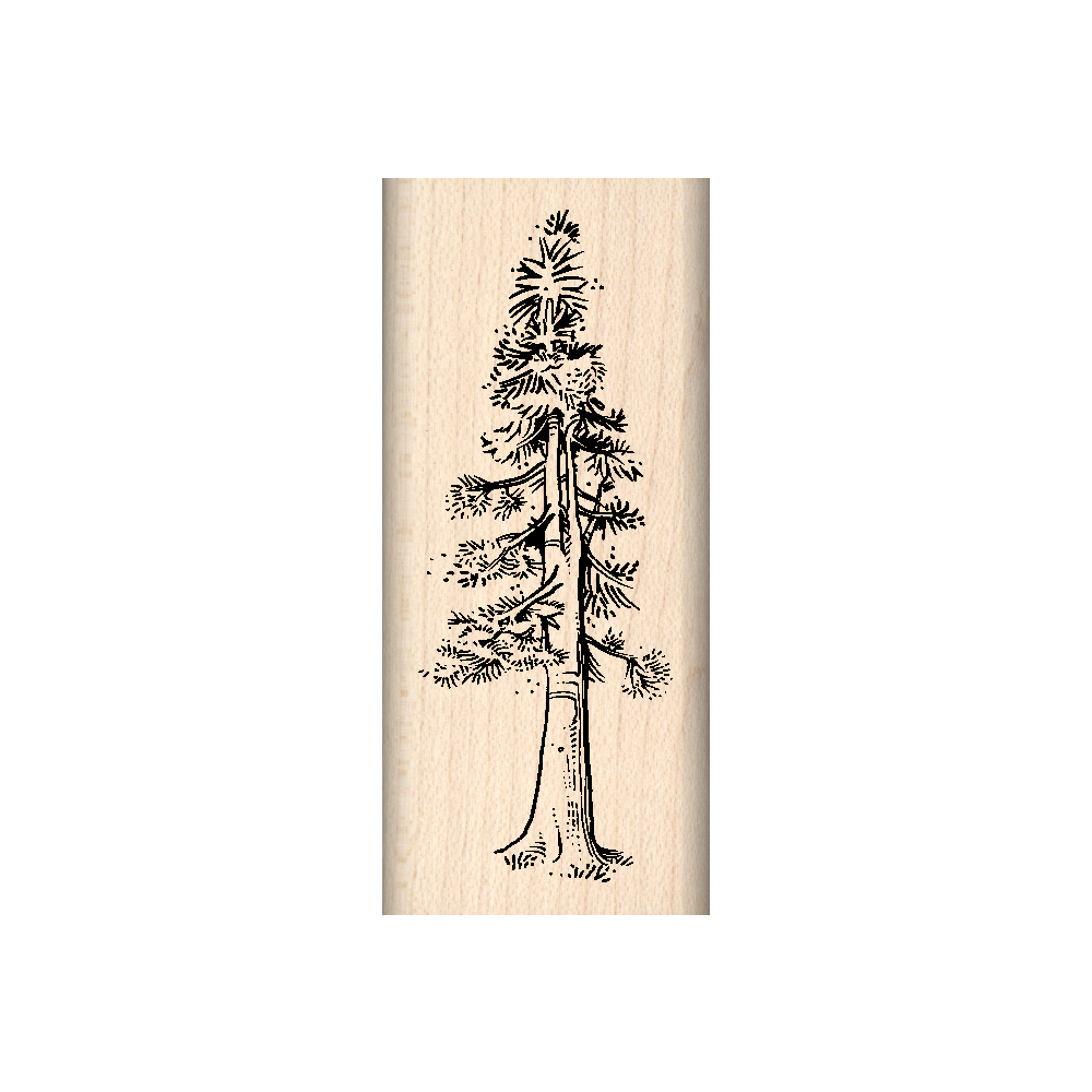 Sequoia Tree Rubber Stamp 1" x 3" block
