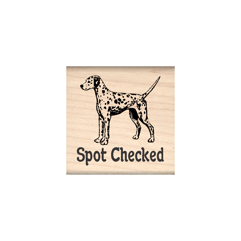 Spot Checked Teacher Rubber Stamp 1.5" x 1.5" block