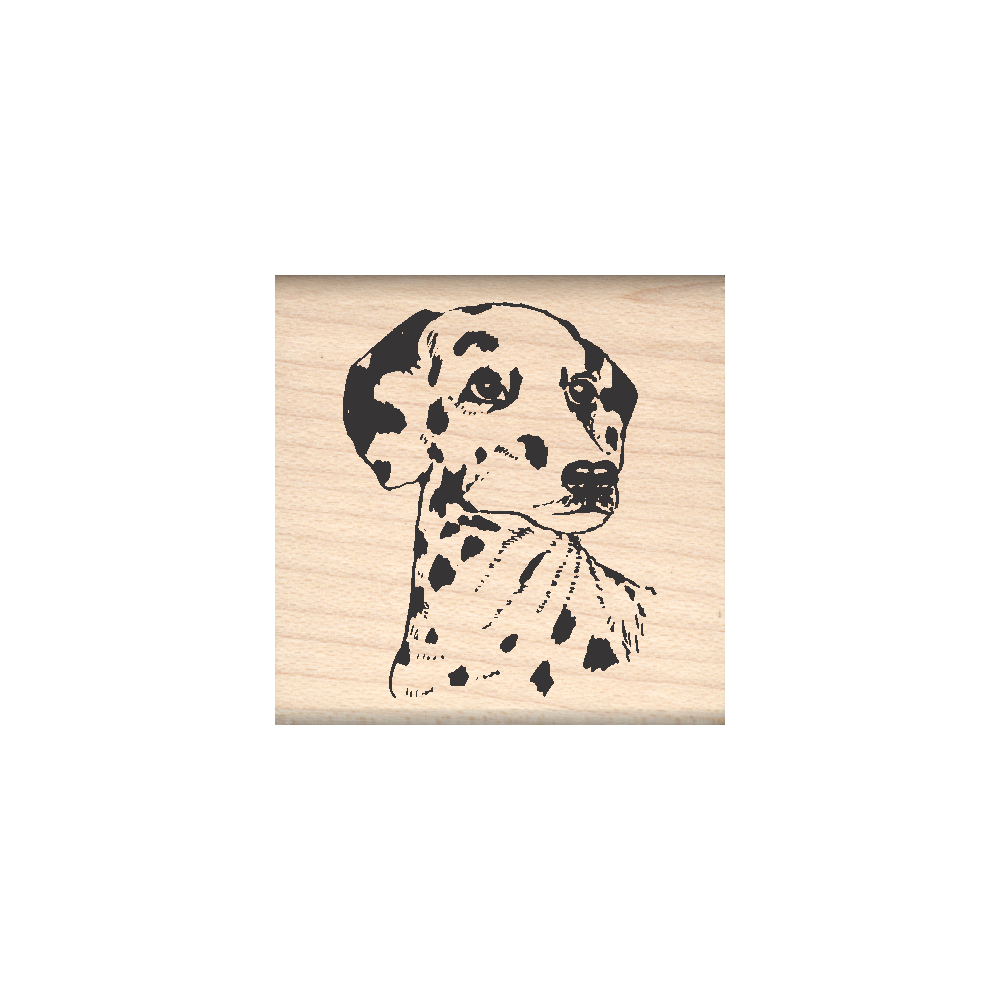 Dalmation Rubber Stamp 1.5" x 1.5" block