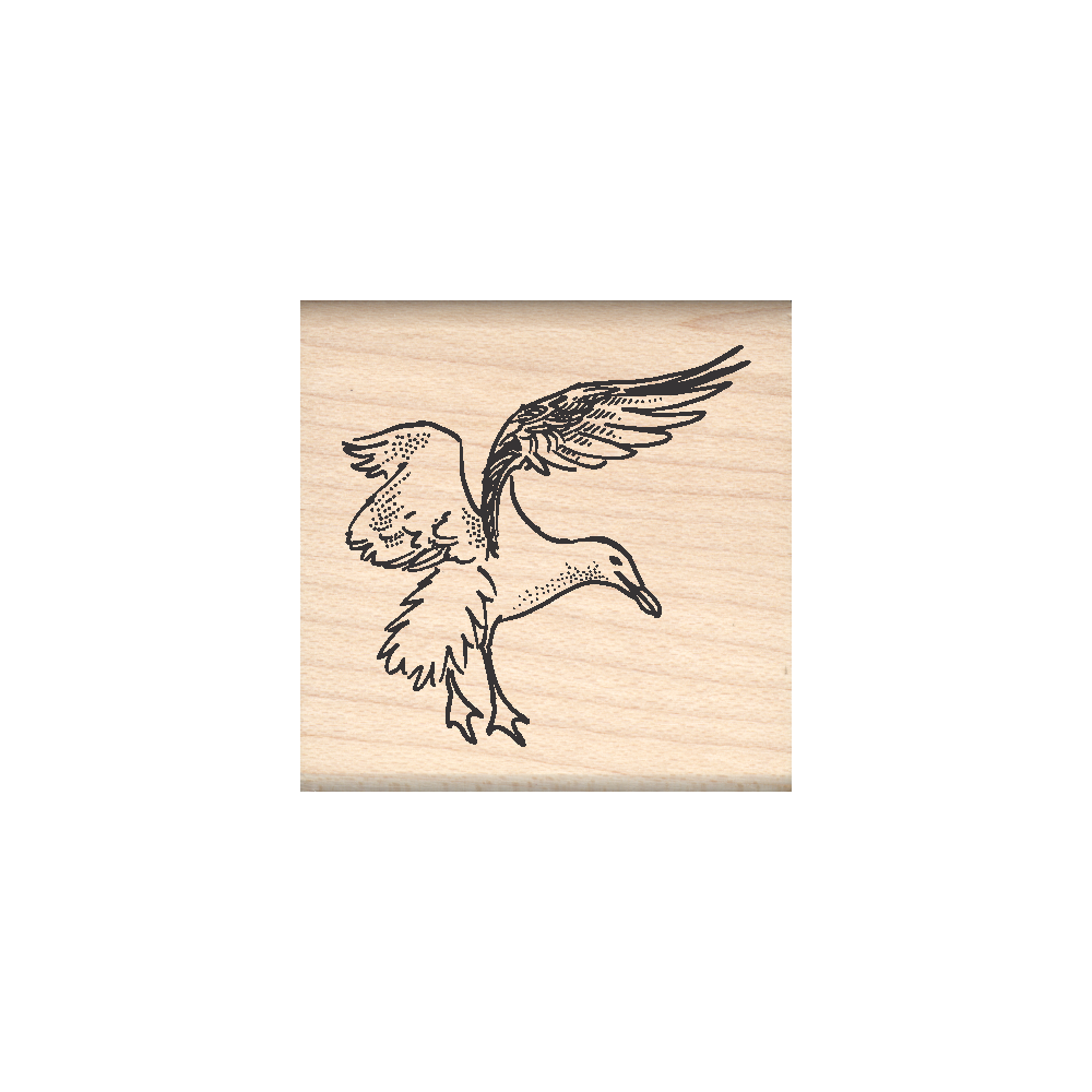 Seagull Rubber Stamp 1.5" x 1.5" block