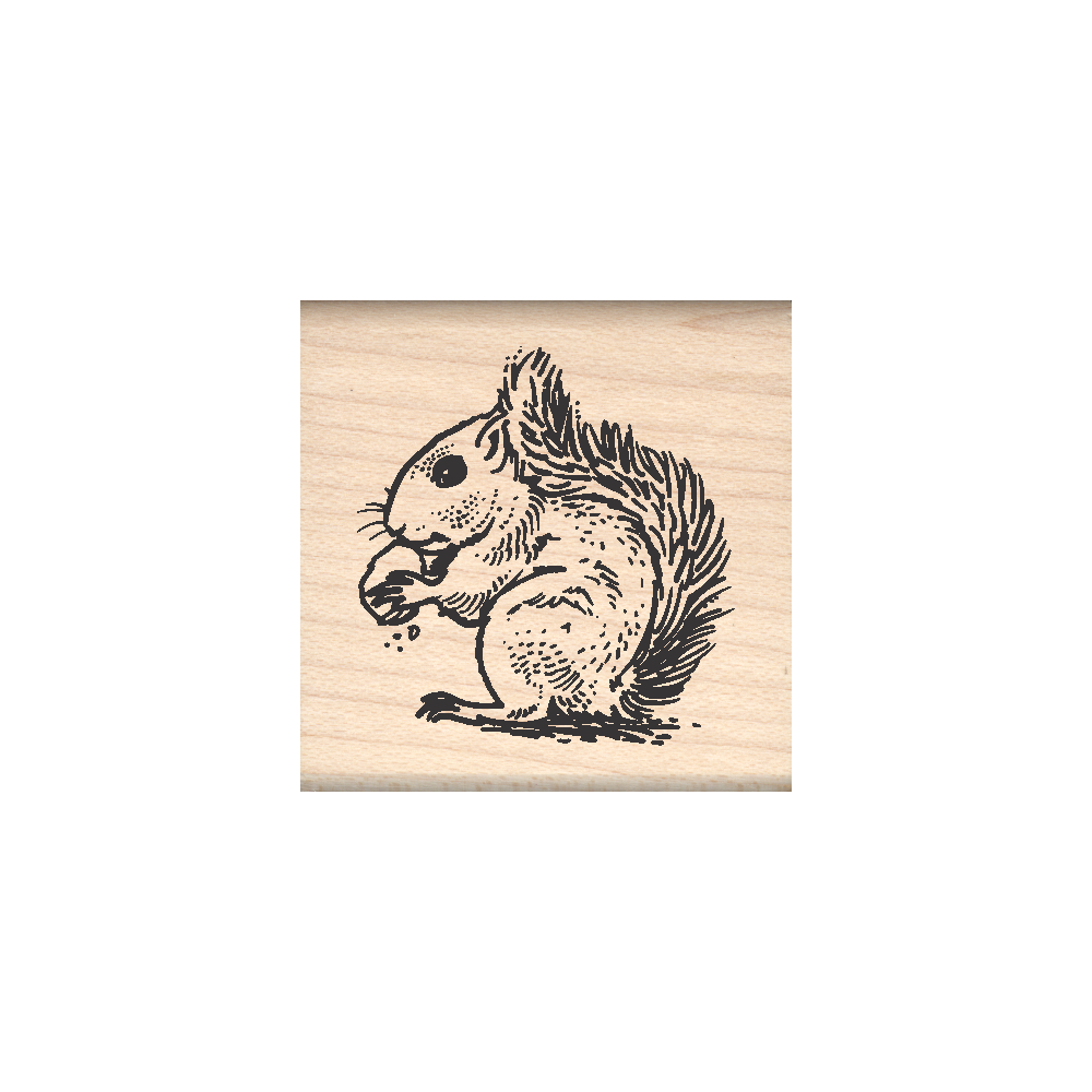 Squirrel Rubber Stamp 1.5" x 1.5" block