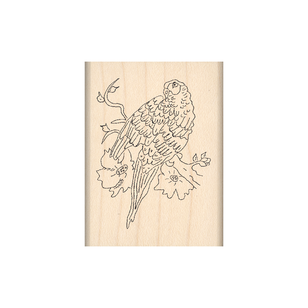 Parrot Rubber Stamp 1.5" x 2" block