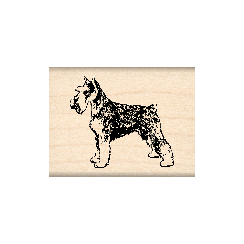 Schnauzer Rubber Stamp 1.5" x 2" block
