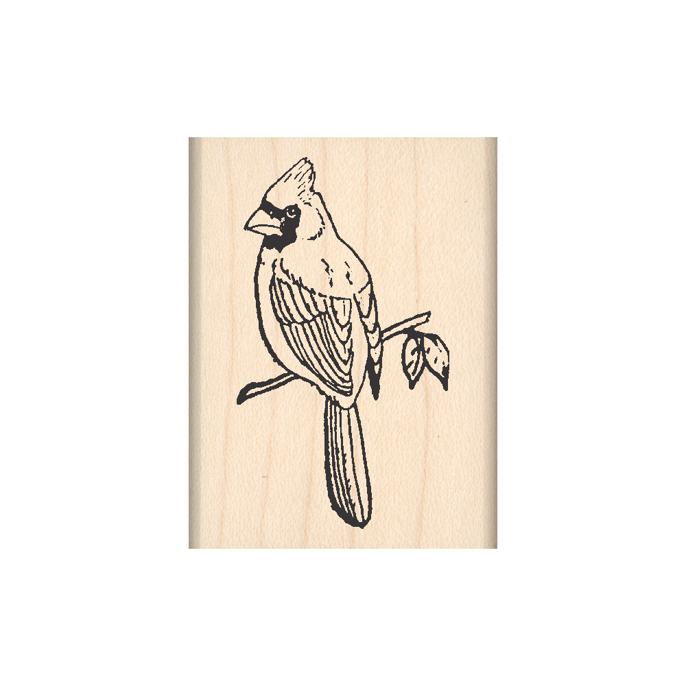 Cardinal Rubber Stamp 1.5" x 2" block