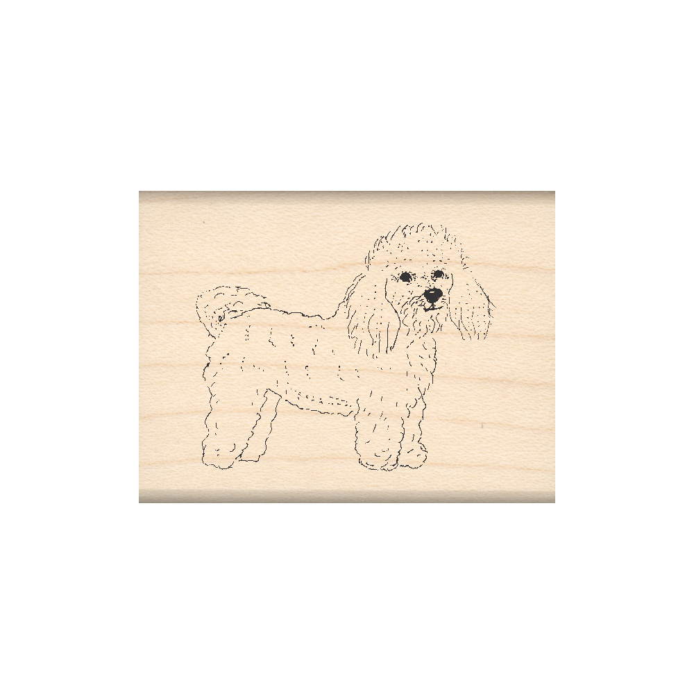 Bichons Frises Rubber Stamp 1.5" x 2" block