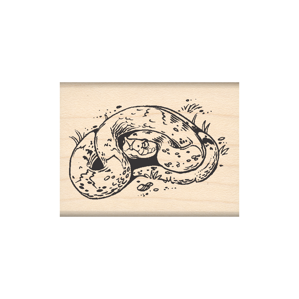 Rattlesnake Rubber Stamp 1.5" x 2" block