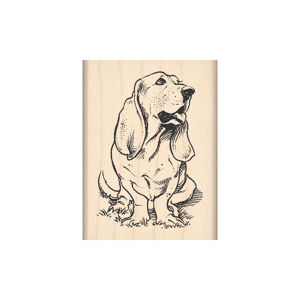 Basset Hound Rubber Stamp 1.5" x 2" block