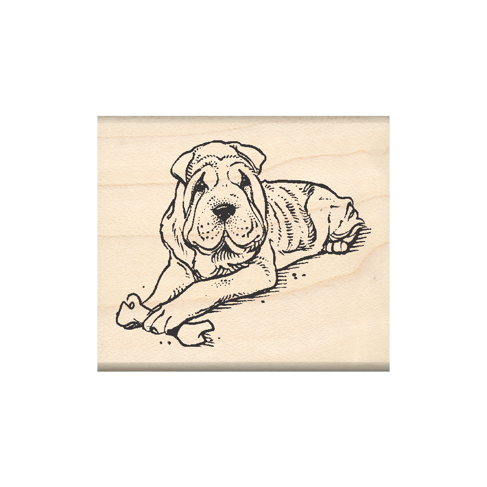 Chinese Shar-Pei Rubber Stamp 1.75" x 2" block