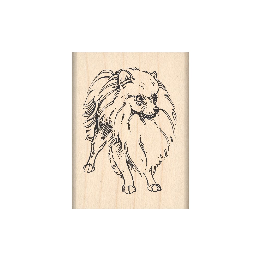 Pomeranian Rubber Stamp 1.5" x 2" block