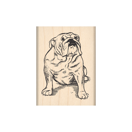 Bulldog Rubber Stamp 1.5" x 2" block