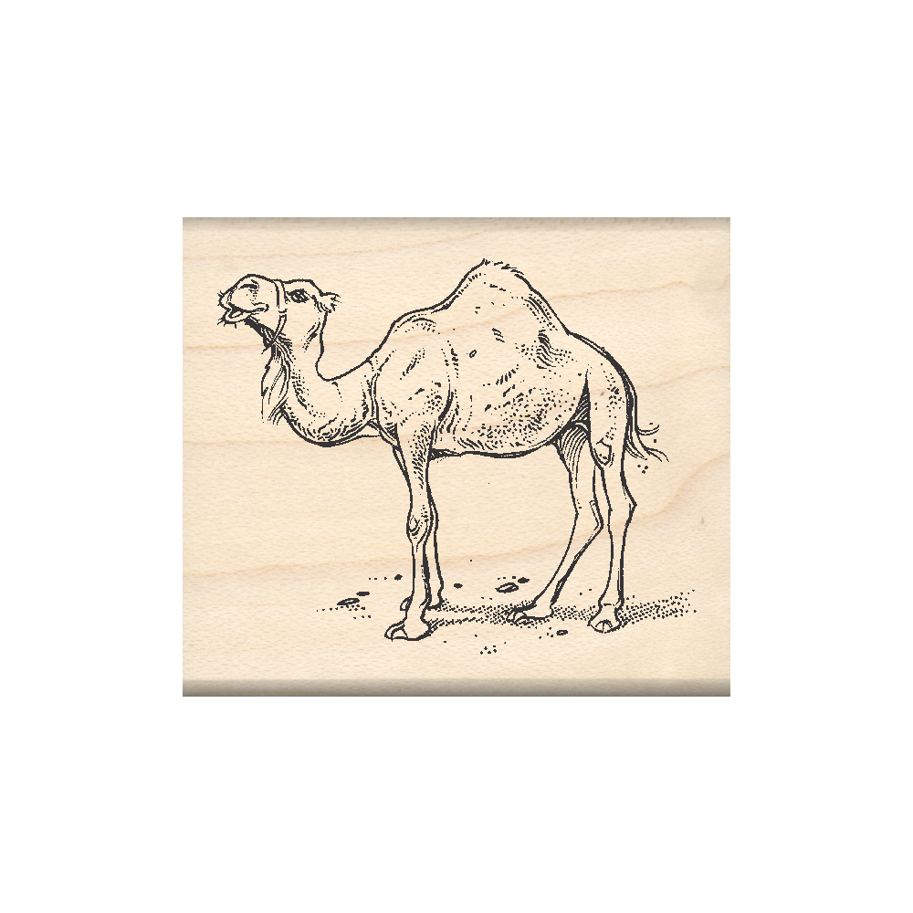 Camel Rubber Stamp 1.75" x 2" block