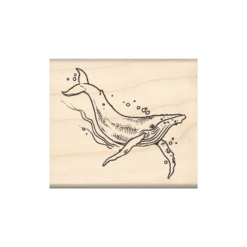 Whale Rubber Stamp 1.75" x 2" block