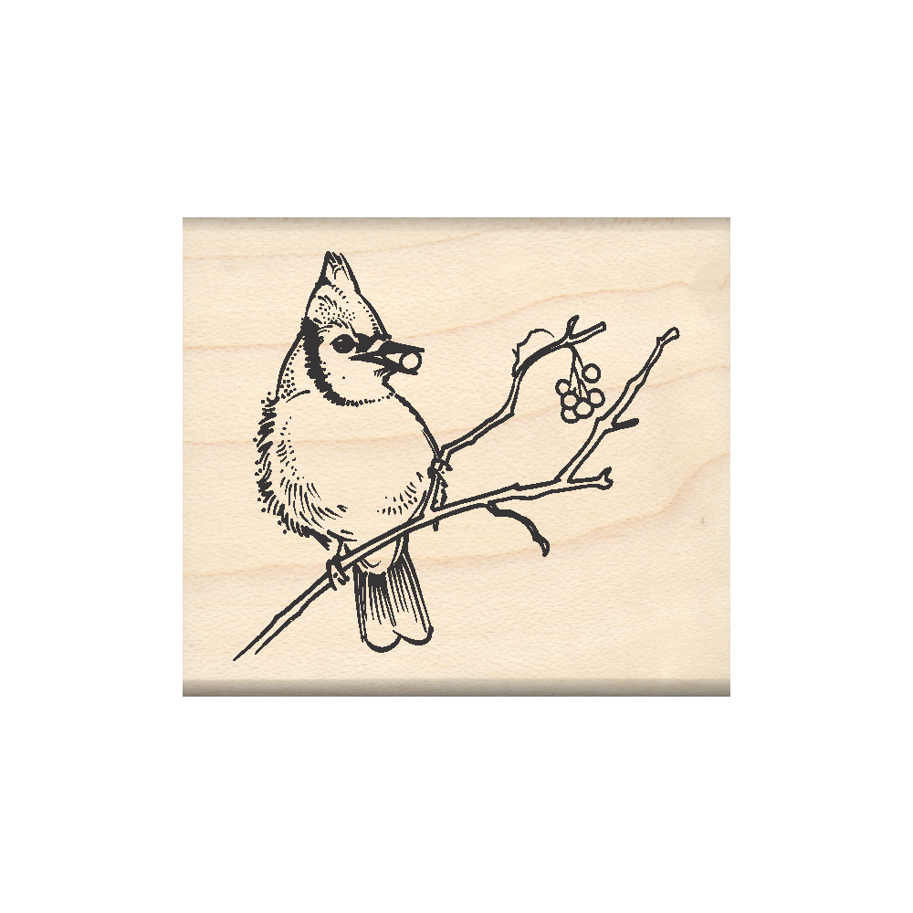 Blue Jay Rubber Stamp 1.75" x 2" block