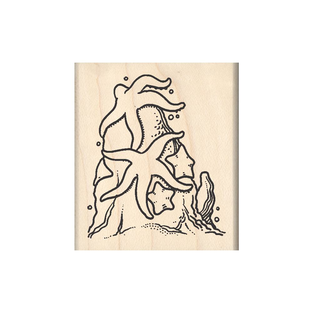 Starfish Rubber Stamp 1.75" x 2" block