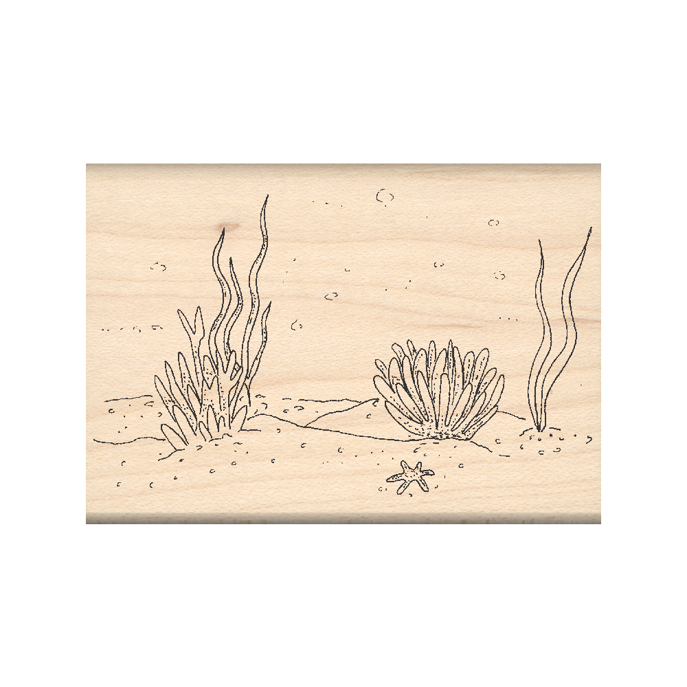 Ocean Bottom Rubber Stamp 1.75" x 2.5" block