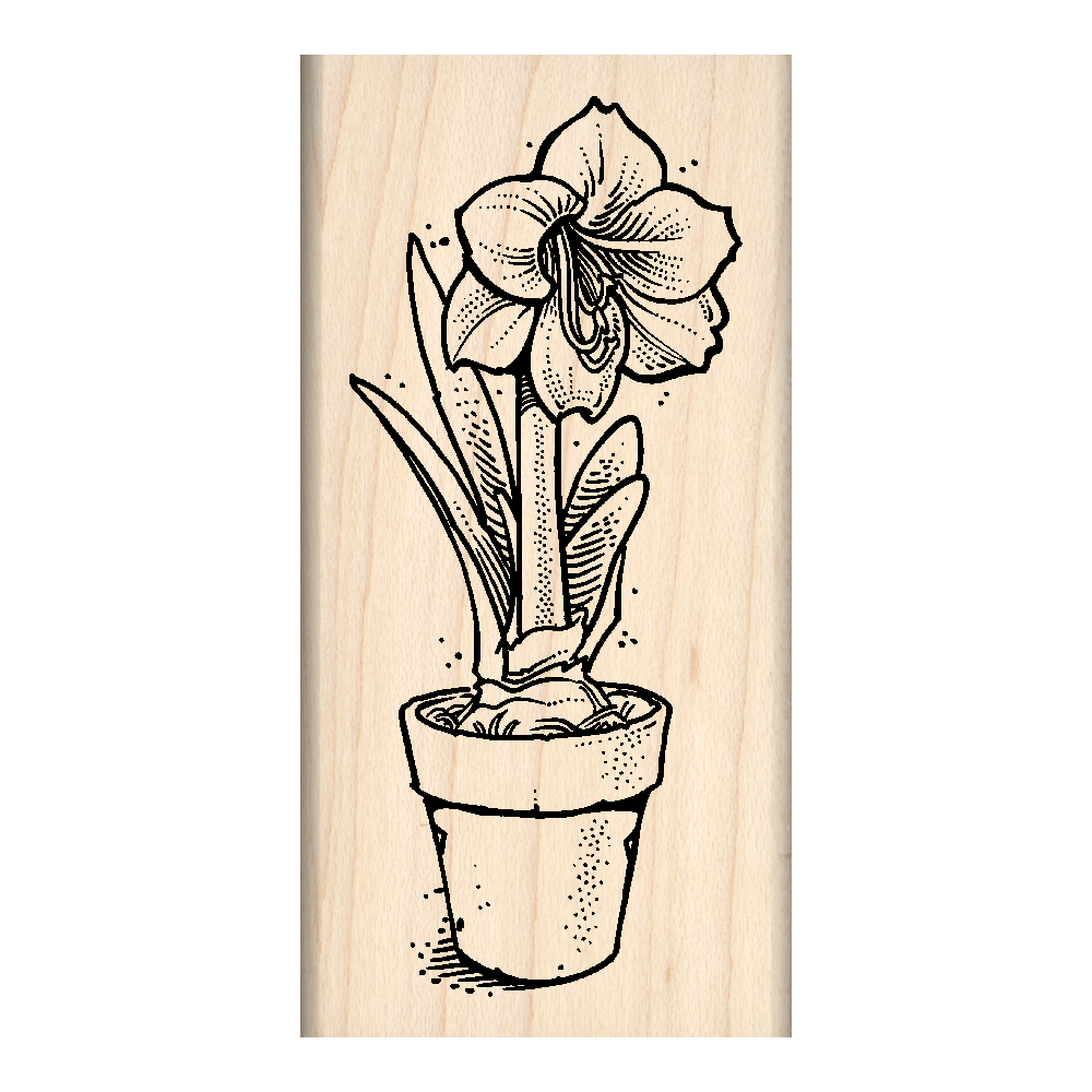 Amaryllis Rubber Stamp 1.75" x 3" block