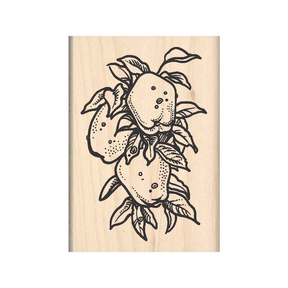 Apples Rubber Stamp 1.75" x 2.5" block