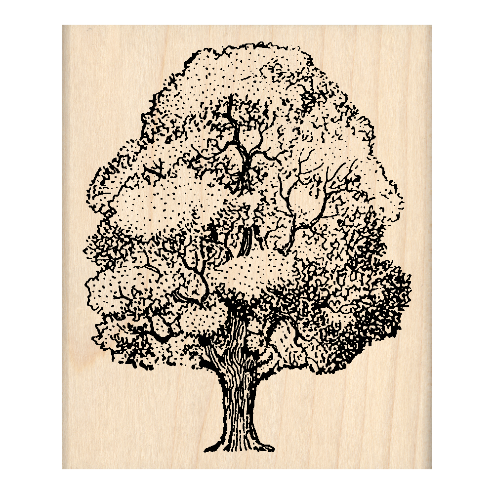 Oak Tree Rubber Stamp 2.5" x 3" block