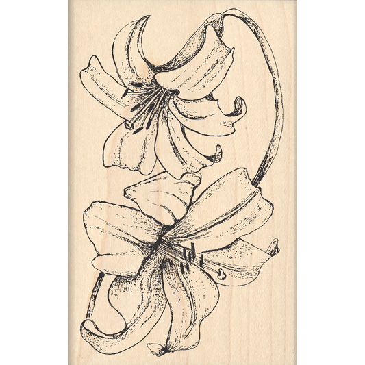 Lilies Rubber Stamp 2.5" x 4" block