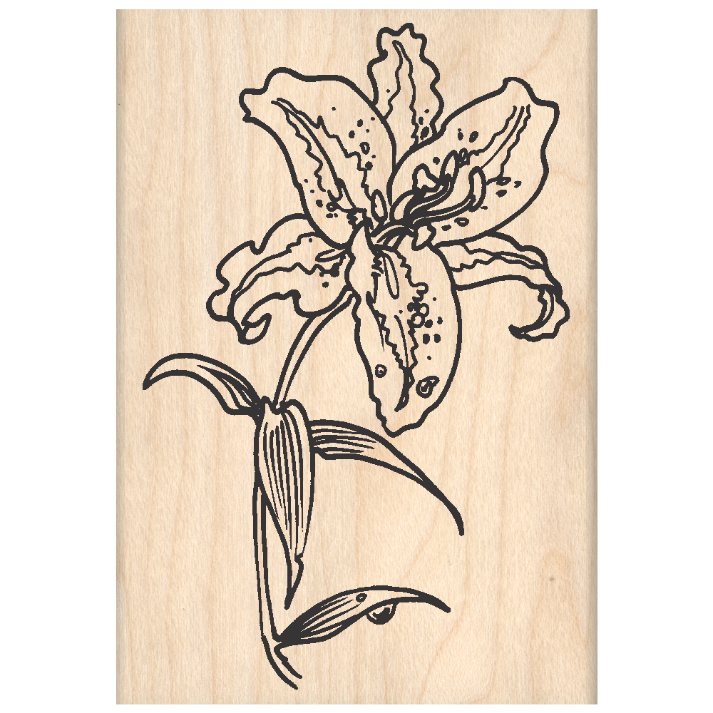 Lily Rubber Stamp 2.25" x 3.5" block