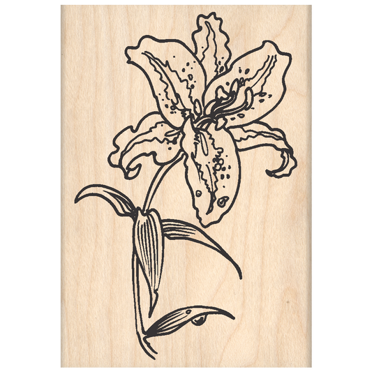 Lily Rubber Stamp 2.25" x 3.5" block