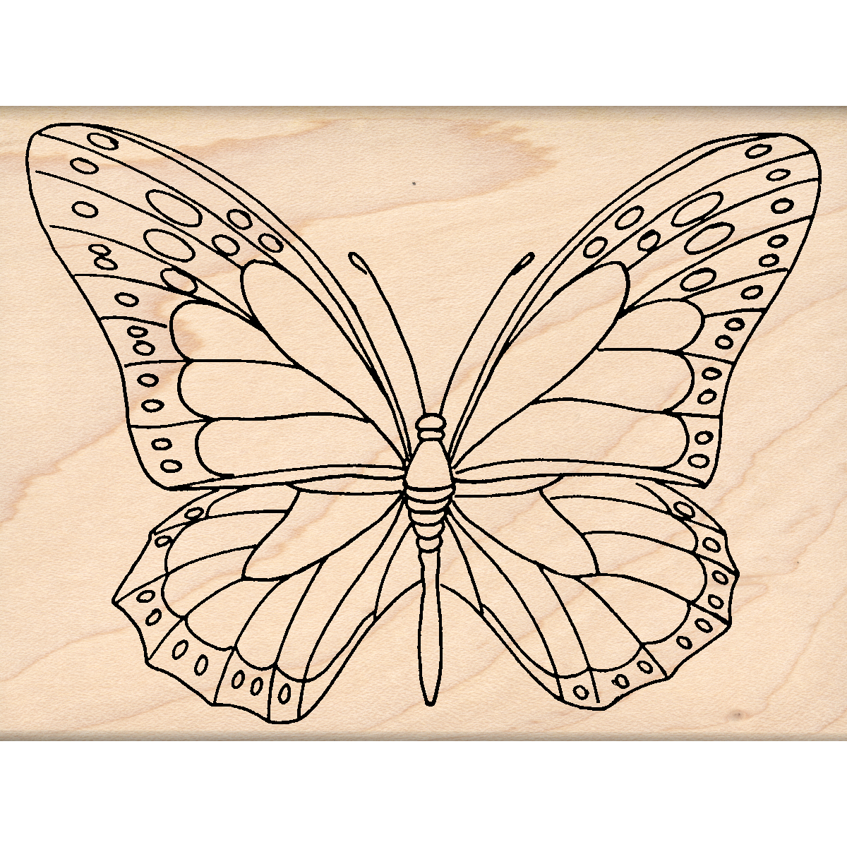 Butterfly Rubber Stamp 3" x 4" block