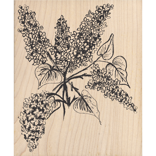 Lilac Rubber Stamp 3.5" x 4.25" block