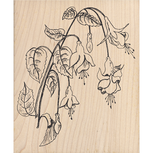 Fuchsia Rubber Stamp 3.5" x 4.25" block